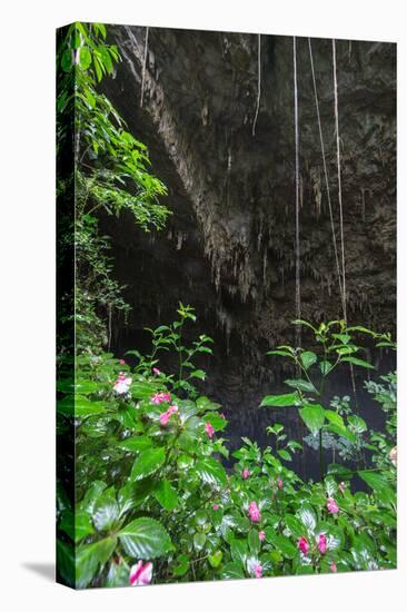 A Green Lush Jungle Entrance to the Grotto Azul Cave System in Bonito, Brazil-Alex Saberi-Premier Image Canvas