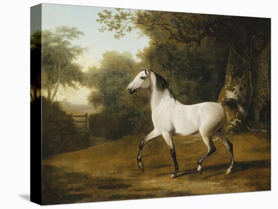 A Grey Arab Stallion in a Wooded Landscape-Jacques-Laurent Agasse-Premier Image Canvas