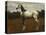 A Grey Camarguen Stallion in a Clearing-Rosa Bonheur-Premier Image Canvas