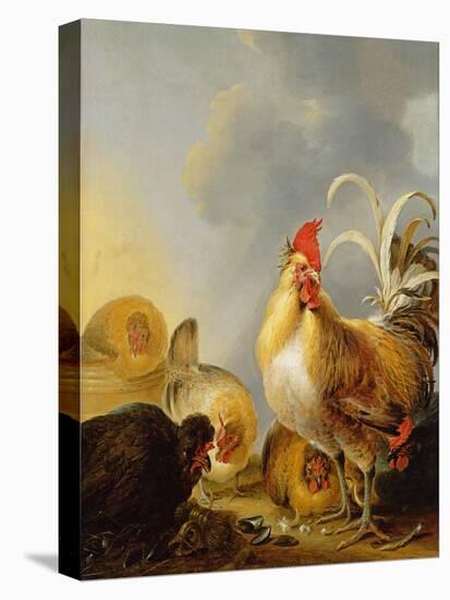A Group of Farmyard Fowl, 1643-Gysbert Hondecoeter-Premier Image Canvas