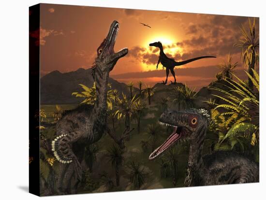 A Group of Feathered Carnivorous Velociraptors from the Cretaceous Period on Earth-Stocktrek Images-Premier Image Canvas