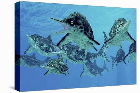 A Group of Ichthyosaurs Swimming in Prehistoric Waters-Stocktrek Images-Stretched Canvas