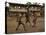 A Group of Panamanian Youths Slide Through the Mud During a Pick-Up Game of Soccer-null-Premier Image Canvas