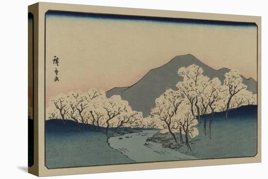 A Grove of Cherry Trees (Sakura Namiki Zu)-Ando Hiroshige-Stretched Canvas