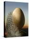 A Guinea Fowl Egg and Feather-Manfred Seelow-Premier Image Canvas