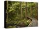 A.H. Reed Memorial Kauri Park, Whangarei, Northland, North Island, New Zealand-David Wall-Premier Image Canvas