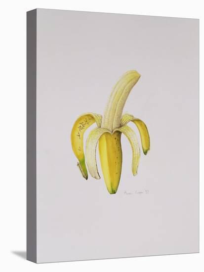 A Half-Peeled Banana, 1997-Alison Cooper-Premier Image Canvas