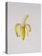 A Half-Peeled Banana, 1997-Alison Cooper-Premier Image Canvas