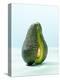 A Halved Avocado-Armin Zogbaum-Premier Image Canvas