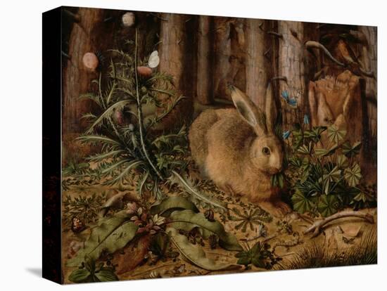 A Hare in the Forest, c. 1585-Hans Hoffmann-Premier Image Canvas