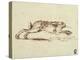 A Hare Running, with Ears Laid Back-James Seymour-Premier Image Canvas