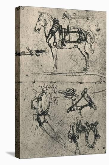 'A Harnessed Cart-Horse and Studies of Harness', c1480 (1945)-Leonardo Da Vinci-Premier Image Canvas