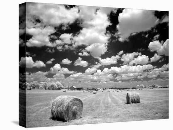 A Hayfield with Summer Clouds-Rip Smith-Premier Image Canvas