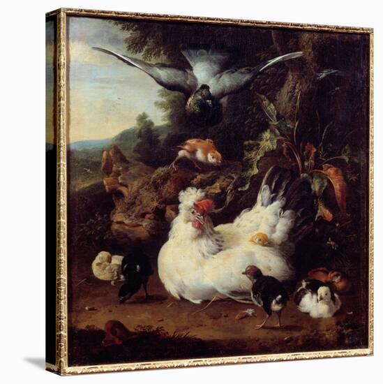 A Hen and Her Chicks Painting by Melchior Hondecoeter (1636-1695) 17Th Century Caen, Museum of Fine-Melchior de Hondecoeter-Premier Image Canvas