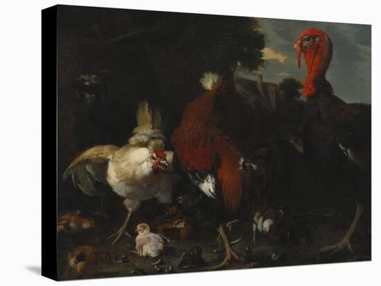 A Hen, Rooster and Turkey in a Farmyard-Melchior de Hondecoeter-Premier Image Canvas