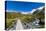 A hiking trail crosses wooden bridge over a creak high up in the mountains, New Zealand-Logan Brown-Premier Image Canvas