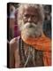 A Hindu Holy Man, or Sadhu, Near Manikula on the Outskirts of Kolkata-Nigel Pavitt-Premier Image Canvas