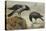 A Hooded Crow and a Carrion Crow, 1924-Archibald Thorburn-Premier Image Canvas