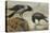 A Hooded Crow and a Carrion Crow-Archibald Thorburn-Premier Image Canvas