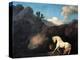 A Horse Frightened by a Lion, 1770-George Stubbs-Premier Image Canvas