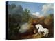 A Horse Frightened by a Lion, 1770-George Stubbs-Premier Image Canvas