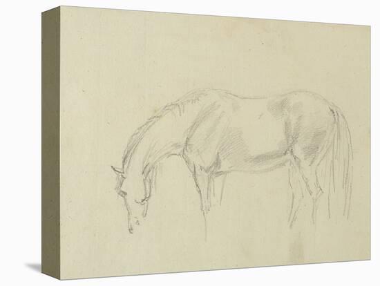 A Horse Grazing-Sawrey Gilpin-Premier Image Canvas
