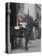 A Horse Guard in Whitehall, London, England, United Kingdom, Europe-James Emmerson-Premier Image Canvas