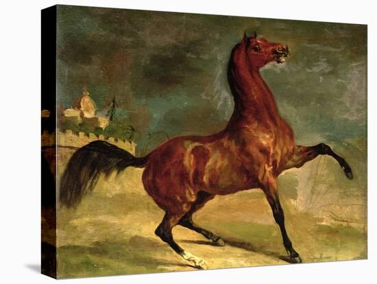 A Horse in a Landscape-Alfred Dedreux-Premier Image Canvas