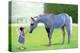 A Horse In Heaven-Nancy Tillman-Stretched Canvas