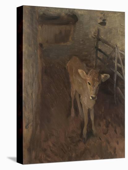 A Jersey Calf, 1893-John Singer Sargent-Premier Image Canvas