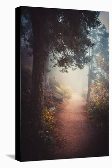 A Journey in the Mist-Philippe Sainte-Laudy-Premier Image Canvas