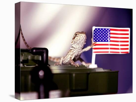 A Juvenile Bearded Dragon Places a Claw Upon an United States Flag-null-Premier Image Canvas