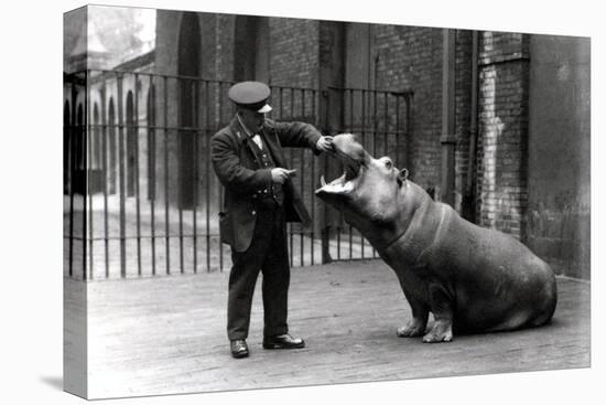 A Keeper, Ernie Bowman, and Bobbie the Hippopotamus at London Zoo, 1923-Frederick William Bond-Premier Image Canvas