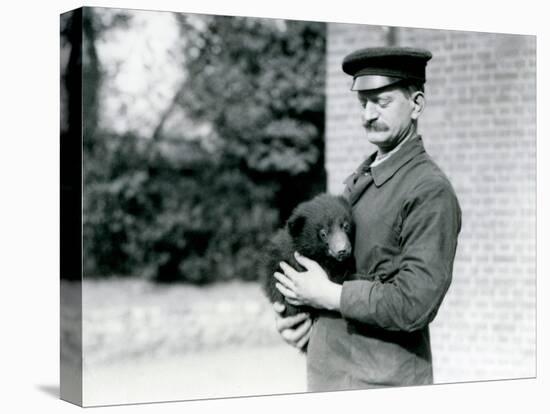 A Keeper Holds a Sloth Bear Cub at London Zoo, August 1921-Frederick William Bond-Premier Image Canvas