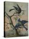 A Kingfisher on a Sapling; and a Blue Tit with a Finch on a Sapling-Christoph Ludwig Agricola-Premier Image Canvas