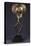 A Kota Brass-Covered Reliquary Figure-null-Premier Image Canvas