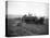 A.L. Brown Farm, Sherlock, Washington (ca. 1909)-Ashael Curtis-Premier Image Canvas