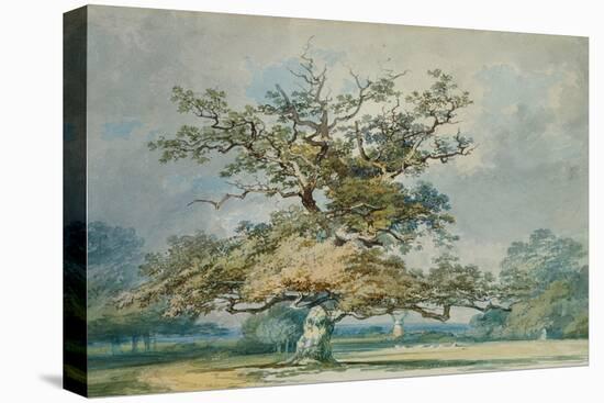 A Landscape with an Old Oak Tree-JMW Turner-Premier Image Canvas