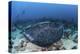 A Large Black-Blotched Stingray Swims over the Rocky Seafloor-Stocktrek Images-Premier Image Canvas