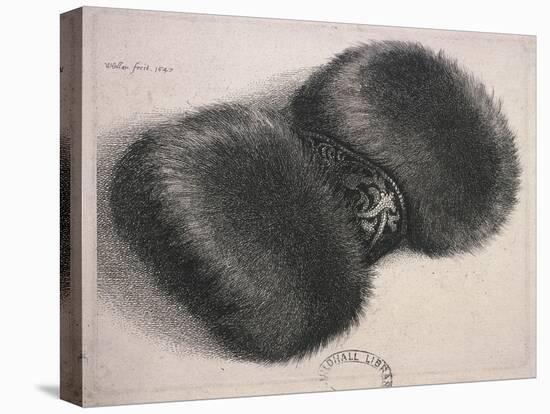 A Large Muff with a Band of Brocade, 1647-Wenceslaus Hollar-Premier Image Canvas