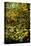 A Leaded Glass Window of a Woodland Scene-Tiffany Studios-Premier Image Canvas