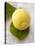 A Lemon with Leaves-Marc O^ Finley-Premier Image Canvas