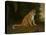 A Leopard in a Landscape-Jacques-Laurent Agasse-Premier Image Canvas