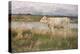 A Lincolnshire Pasture, C.1882-3 (Oil on Canvas)-Joseph Crawhall-Premier Image Canvas