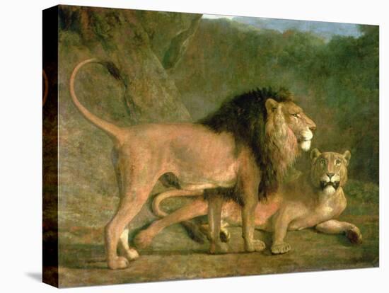 A Lion and a Lioness in a Rocky Valley-Jacques-Laurent Agasse-Premier Image Canvas