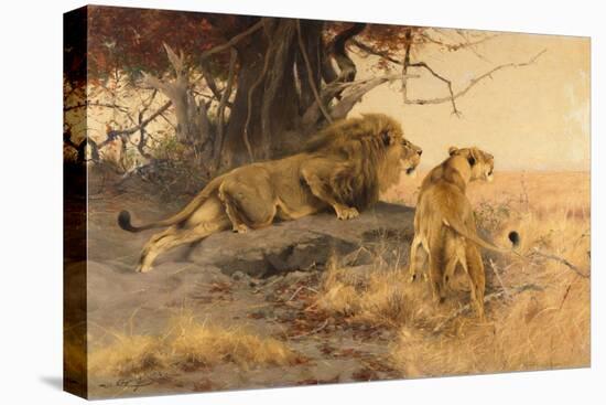 A lion and a lioness in the Savannah, 1912-Wilhelm Kuhnert-Premier Image Canvas
