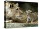 A Lion Cub Peeks into the World While Sitting Next to Its Mother Inka at the Munich Zoo-null-Premier Image Canvas