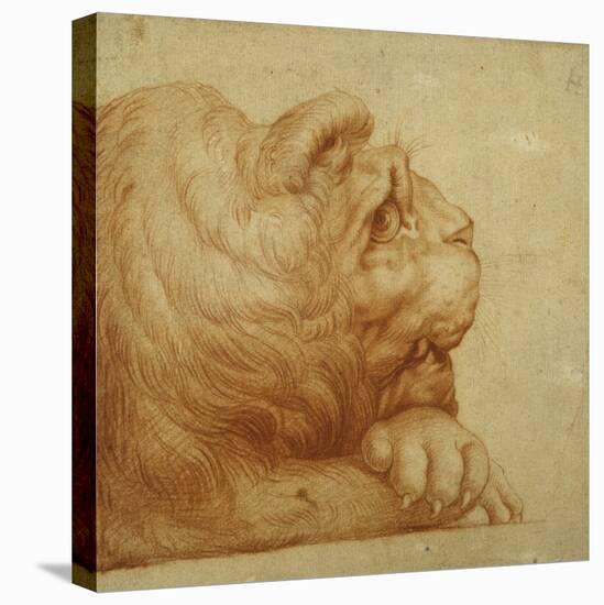 A Lion's Head in Profile-Francesco De Rossi Salviati Cecchino-Premier Image Canvas