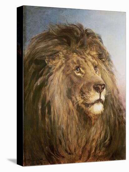 A Lion's Head-Heywood Hardy-Premier Image Canvas