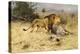 A Lion with His Prey-Wilhelm Kuhnert-Premier Image Canvas